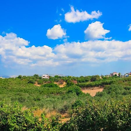Villa Panagiotis Chania Daratsos Exteriér fotografie